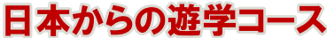 日本からの遊学コース